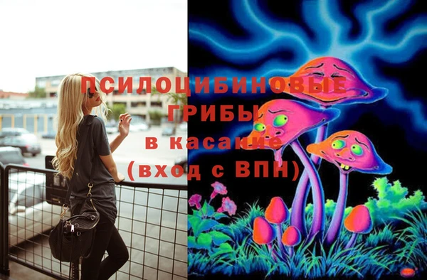 таблы Армянск