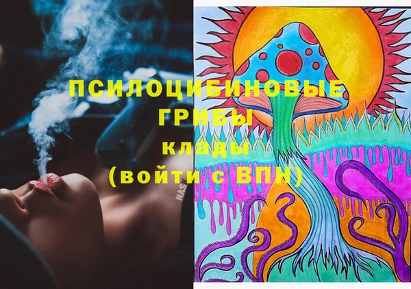 дурь Алексеевка