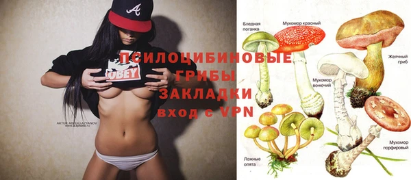 а пвп мука Арсеньев