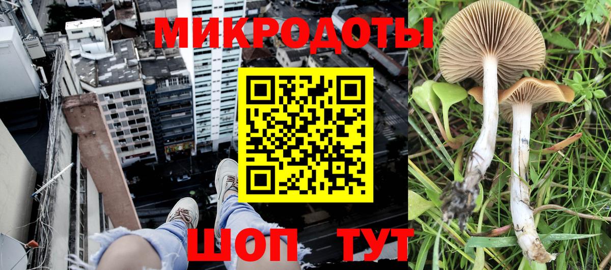 Псилоцибиновые грибы мицелий Урюпинск